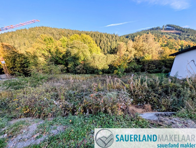 Aantrekkelijke bouwkavels in Willingen – Drie percelen met ca. 2.000 m² totale oppervlakte op een gewilde vakantielocatie 0