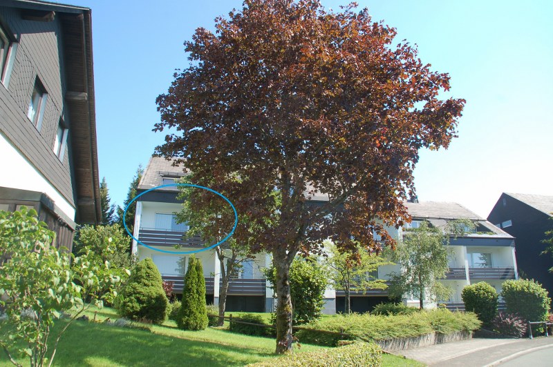 Geheel gerenoveerd 3 kamerappartement in Altastenberg 0