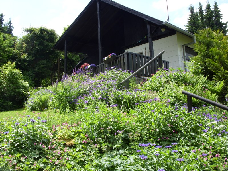 Sfeervol vakantiehuis in bosrijke omgeving van Willingen 0