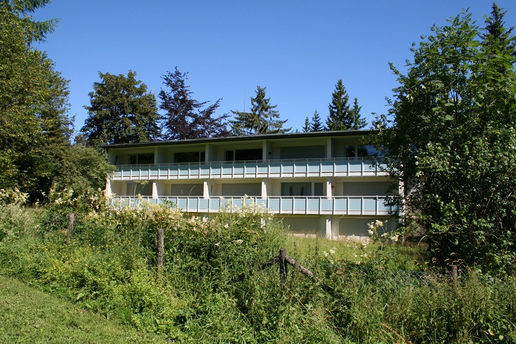 Leuk, modern 2 kamerappartement in Willingen 0