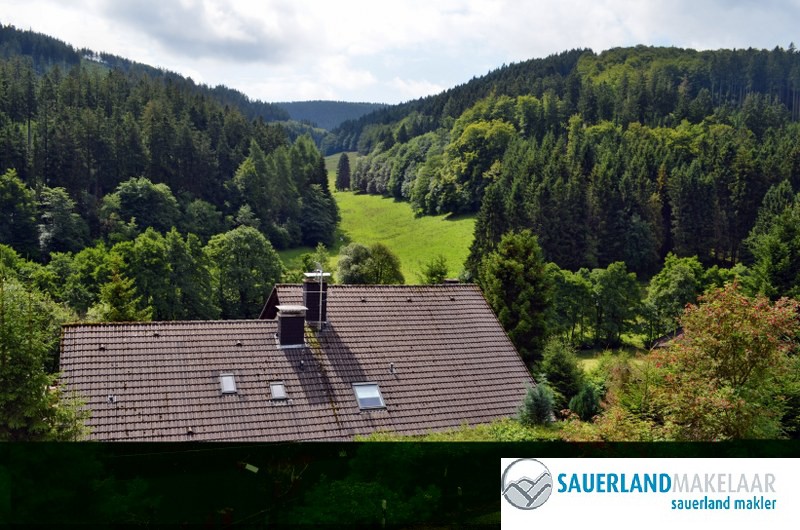 Prachtig gelegen, zeer ruim woonhuis in Willingen 1
