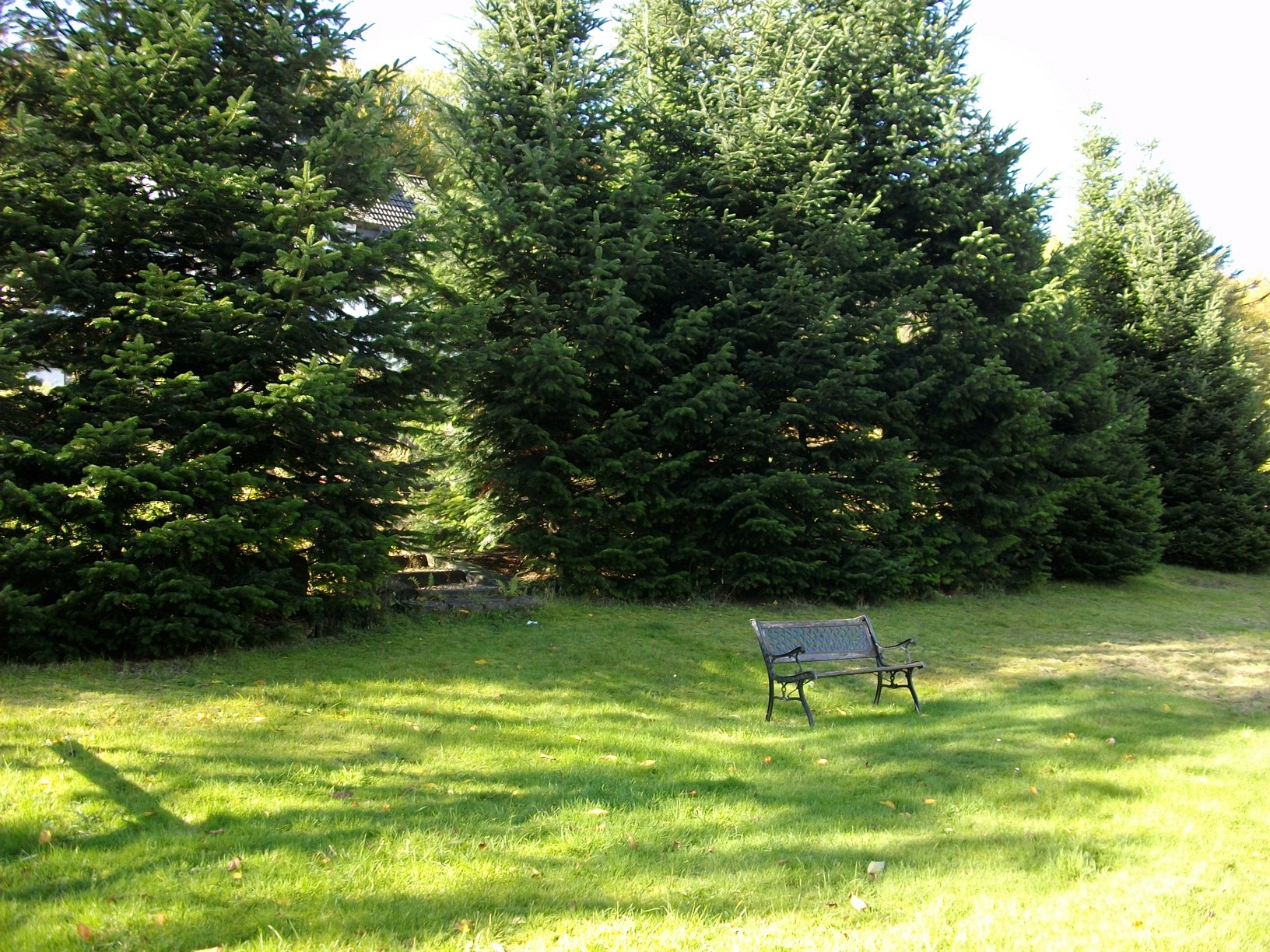 Gezellige vakantiewoning direct aan het bos in Brilon-Wald 1