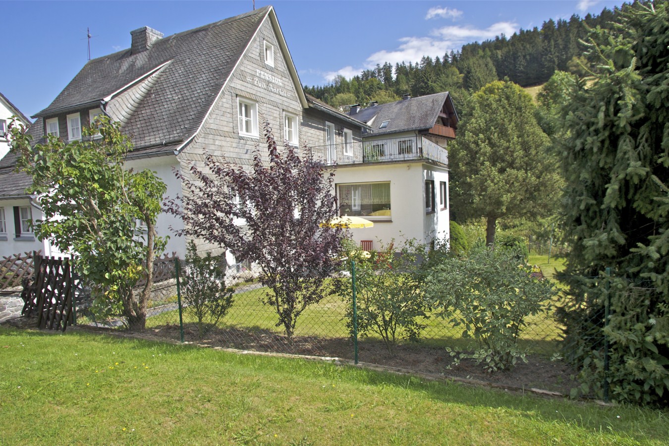 Ruim woonhuis vlakbij Willingen 1