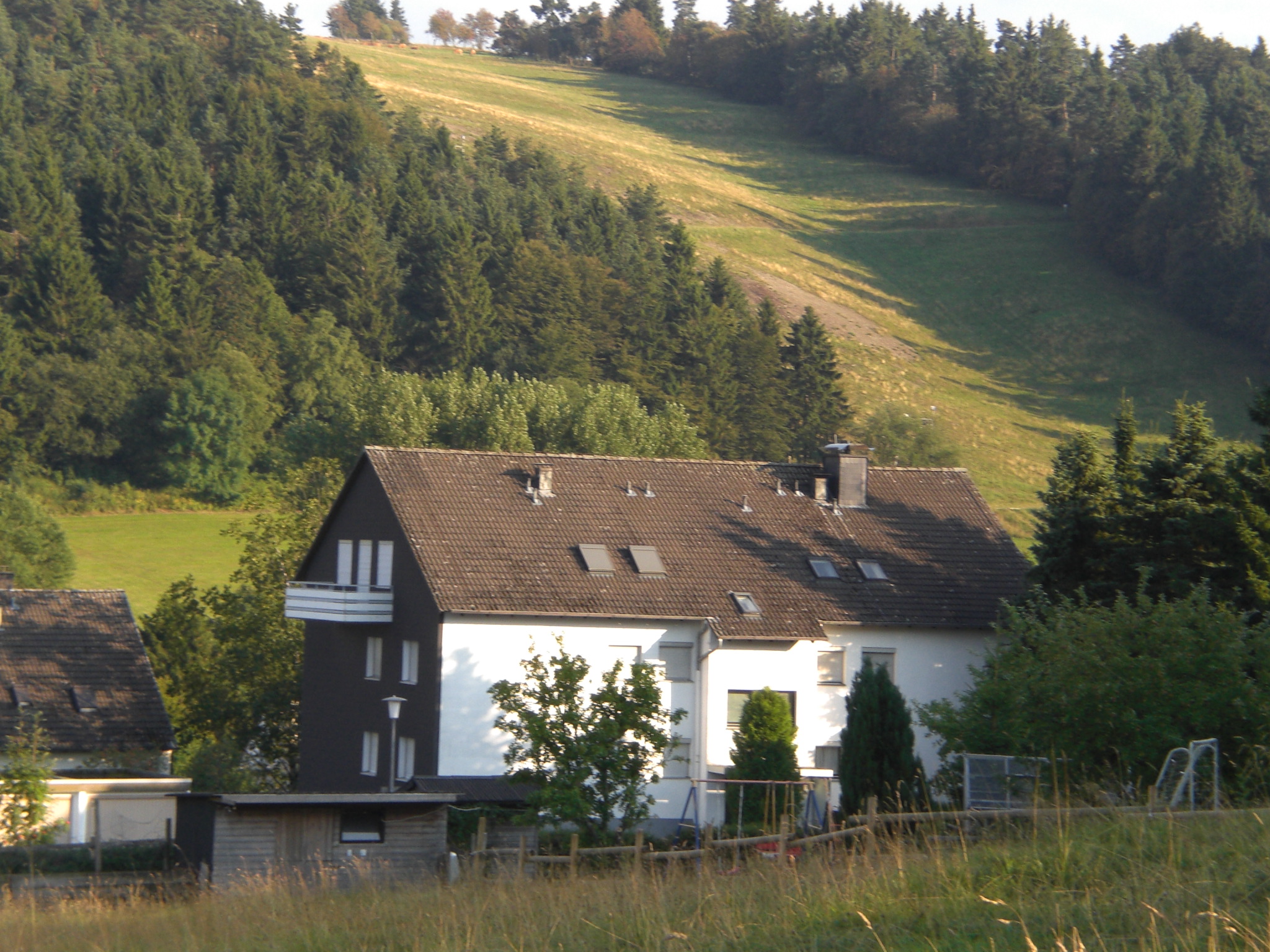 Mooi 3 kamerappartement in Usseln, met uitzicht op de piste 1