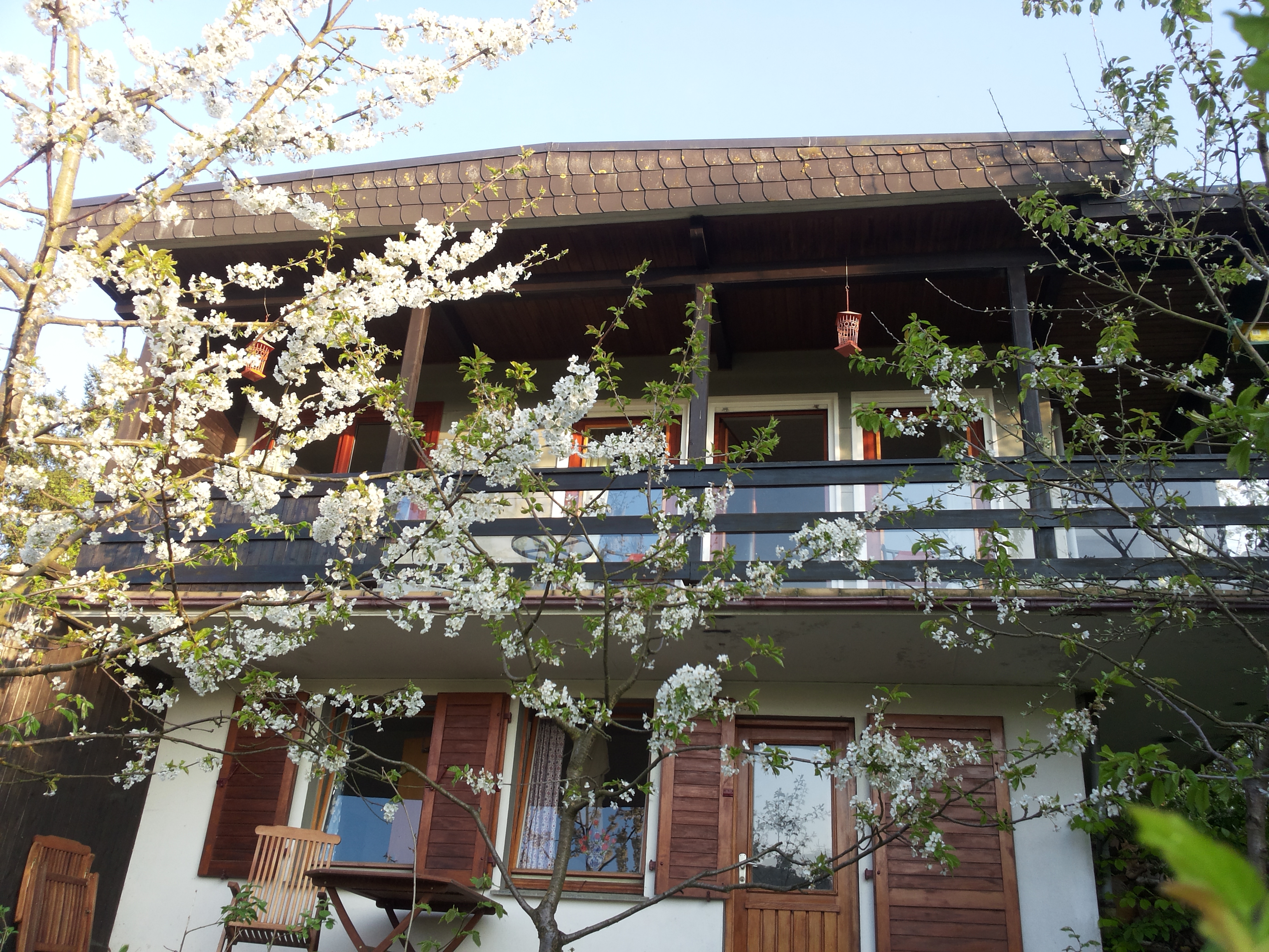 Leuke vakantiewoning in Heringhausen, Diemelsee 1