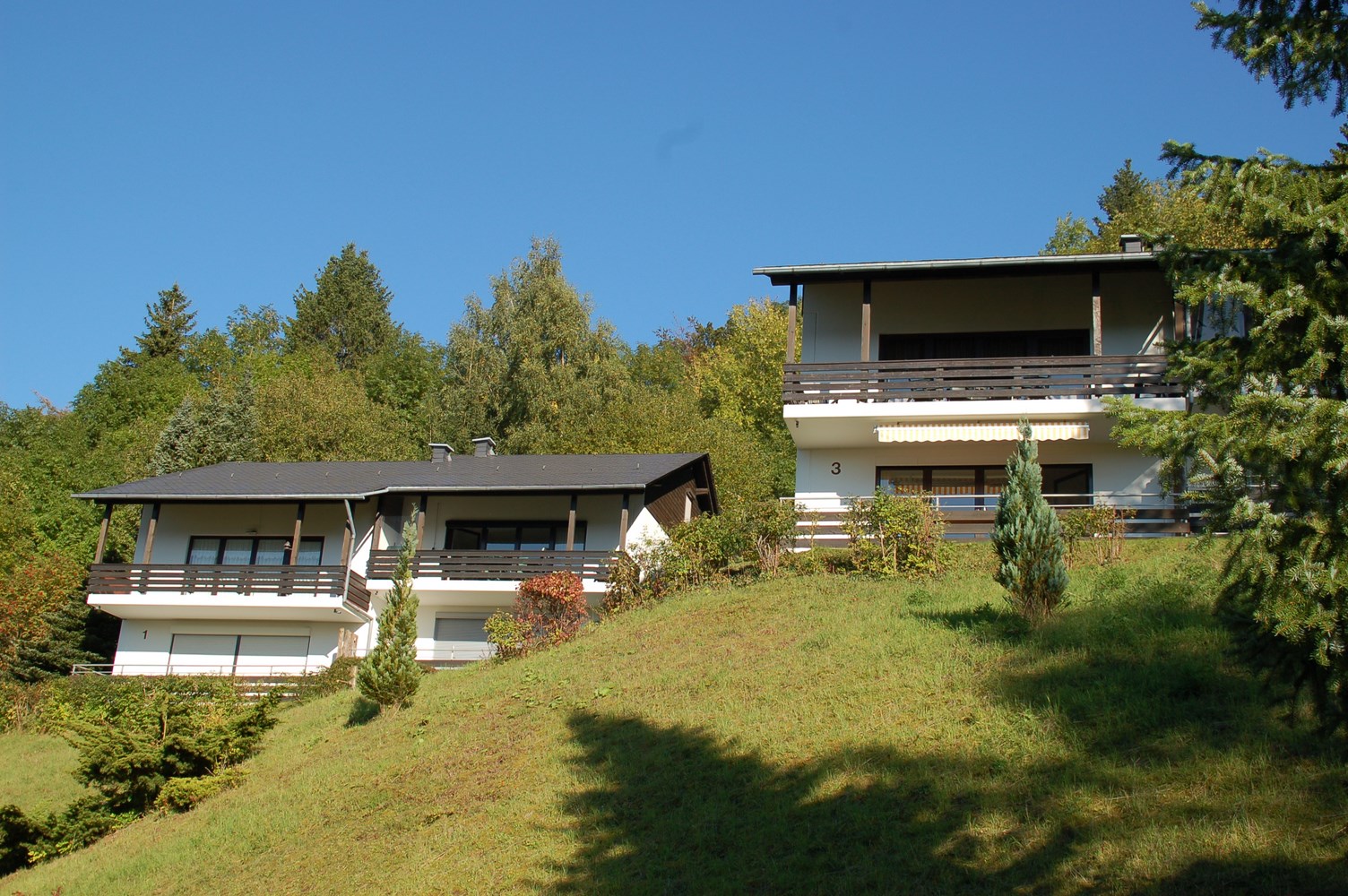 Mooi gelegen 4 kamerappartement nabij Willingen 1