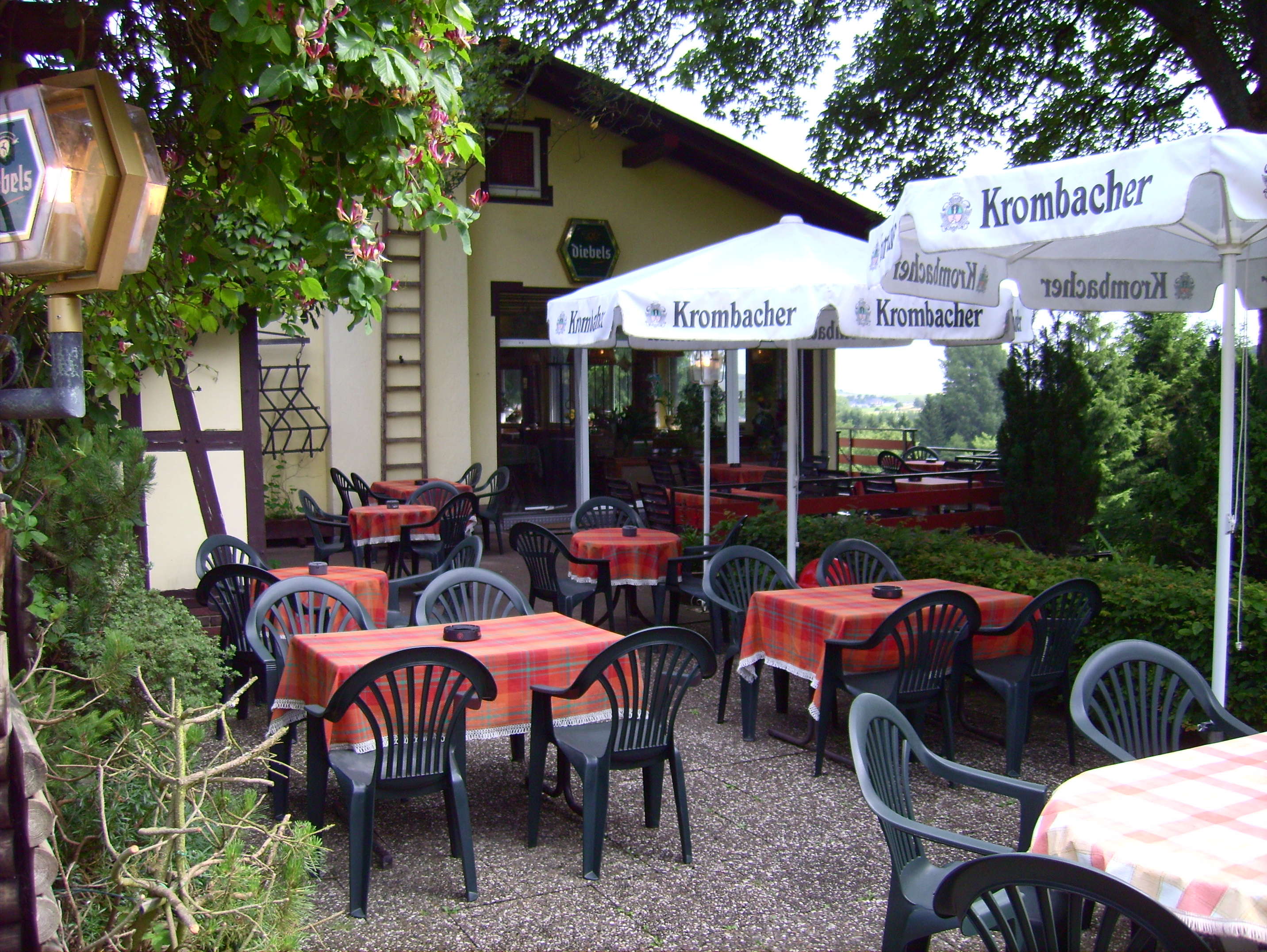 Restaurant met prachtig uitzicht, terras en woning, in Usseln 1