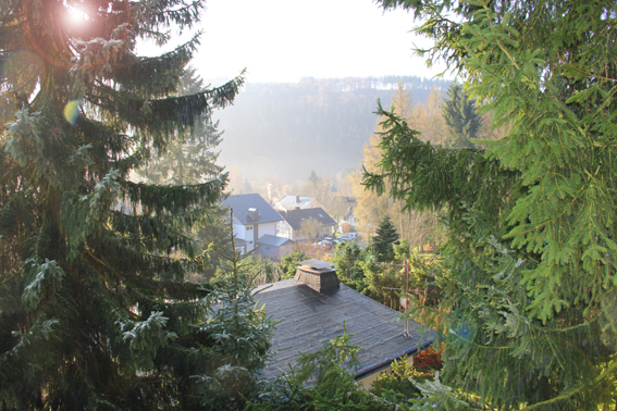 Mooi gelegen 3 kamerappartement in Willingen 2