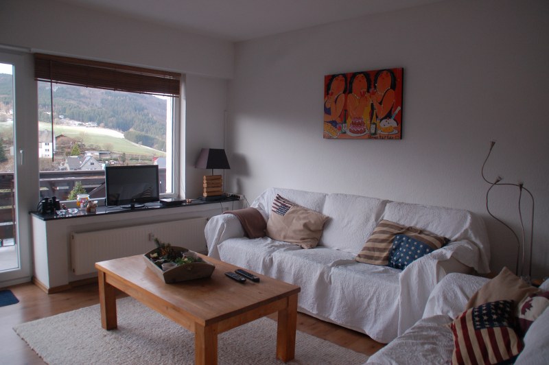 Ruim en modern 4 kamer appartement met uitzicht nabij Willingen 2