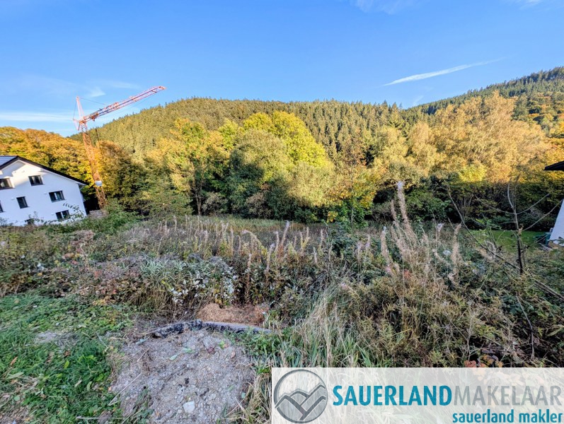 Aantrekkelijke bouwkavels in Willingen – Drie percelen met ca. 2.000 m² totale oppervlakte op een gewilde vakantielocatie 3