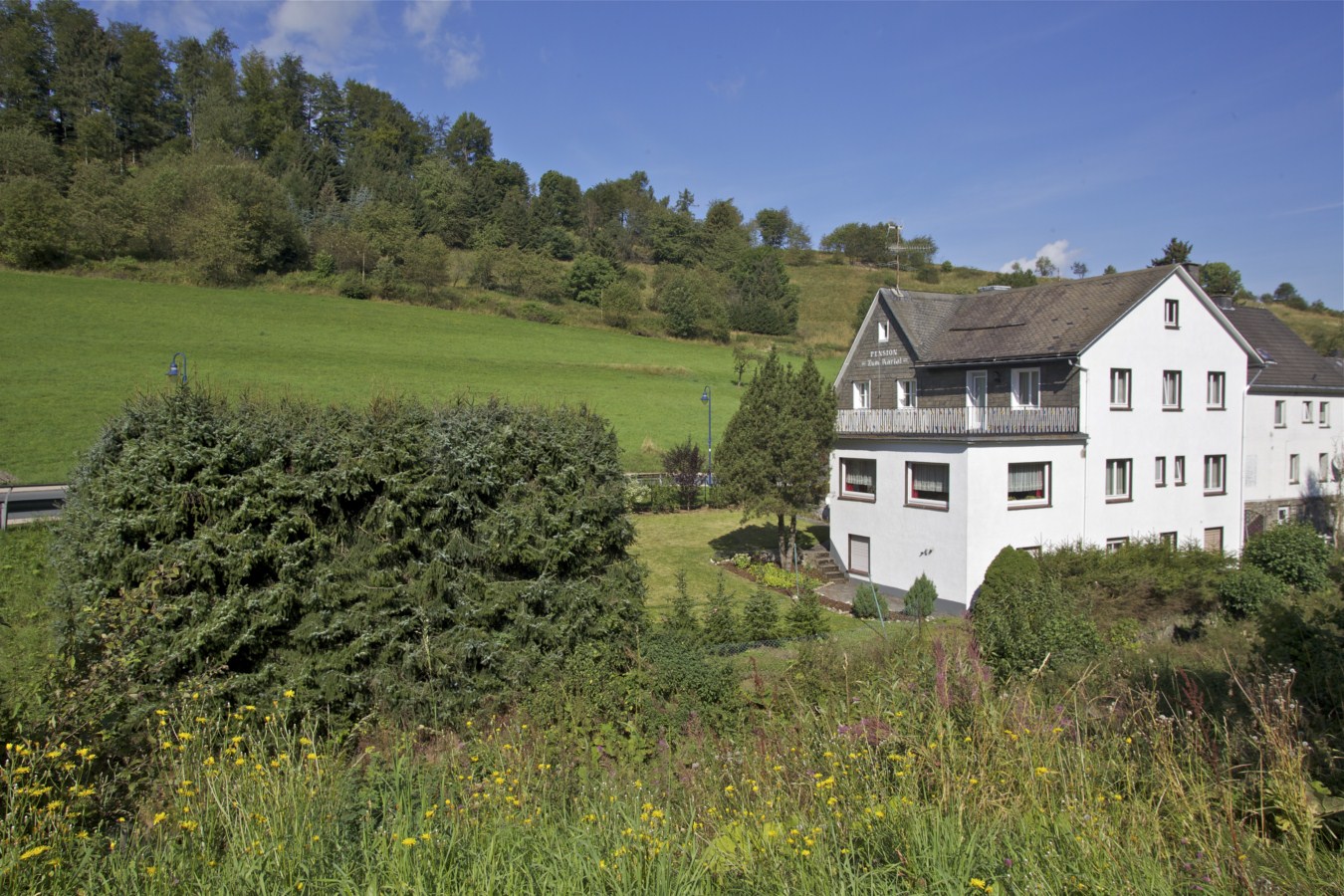 Ruim woonhuis vlakbij Willingen 3