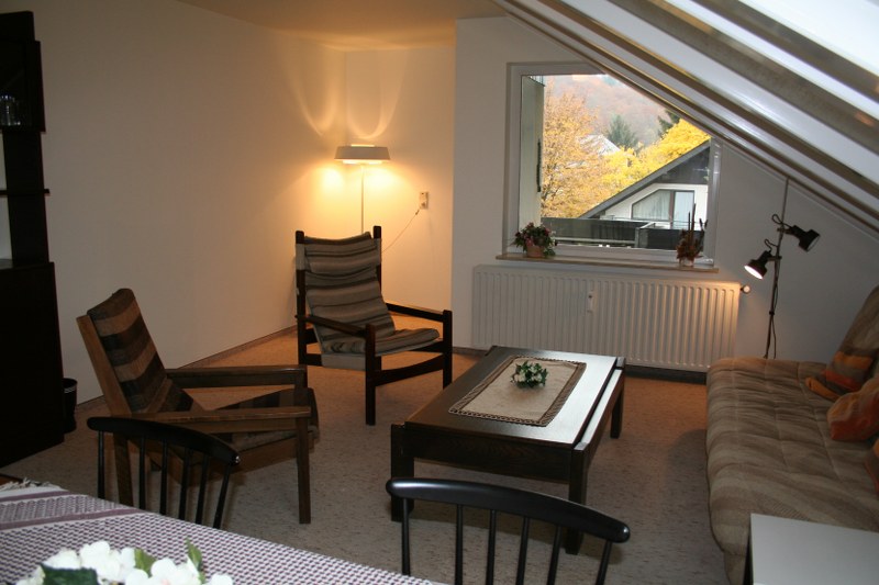 Net 2 kamerappartement in Willingen-Stryck 3