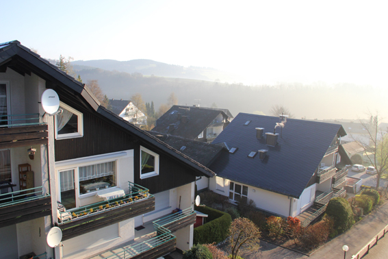 Mooi gelegen 3 kamerappartement in Willingen 3