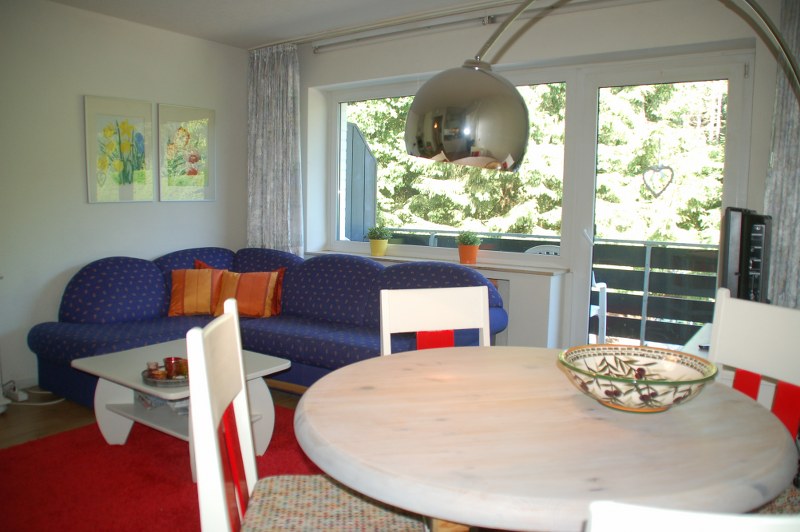 2 kamerappartement Winterberg, op loopafstand skipiste 4