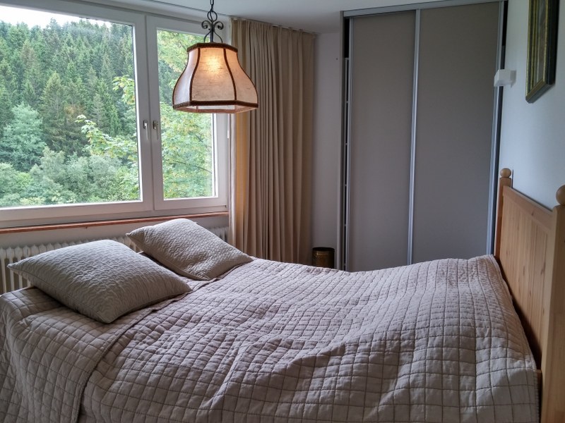 Ruim, modern 4 kamerappartement aan de skipiste Winterberg 5