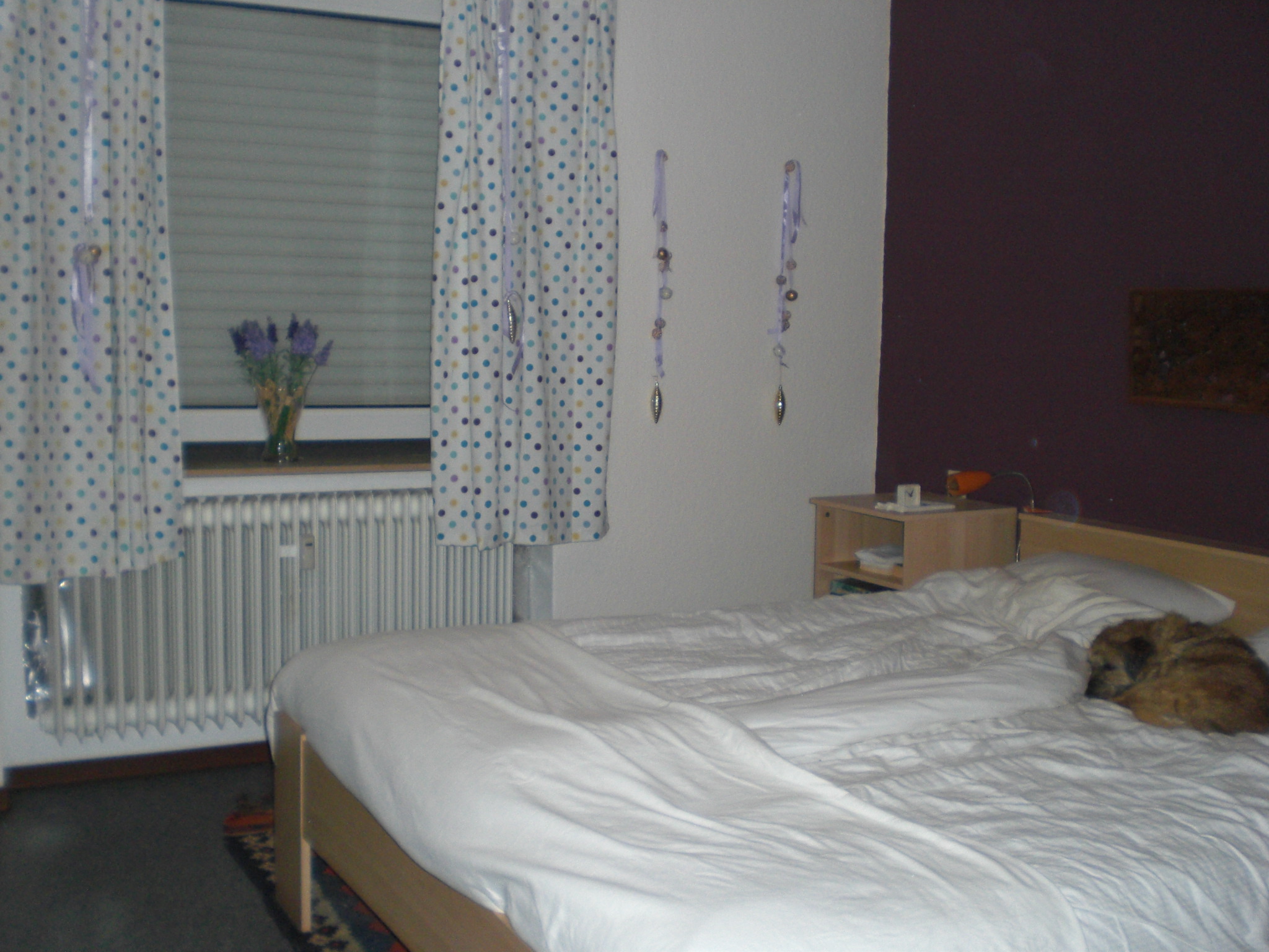 Mooi 3 kamerappartement in Usseln, met uitzicht op de piste 6