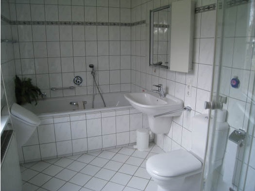 Vrijstaand en gemoderniseerd woonhuis in Altastenberg 6