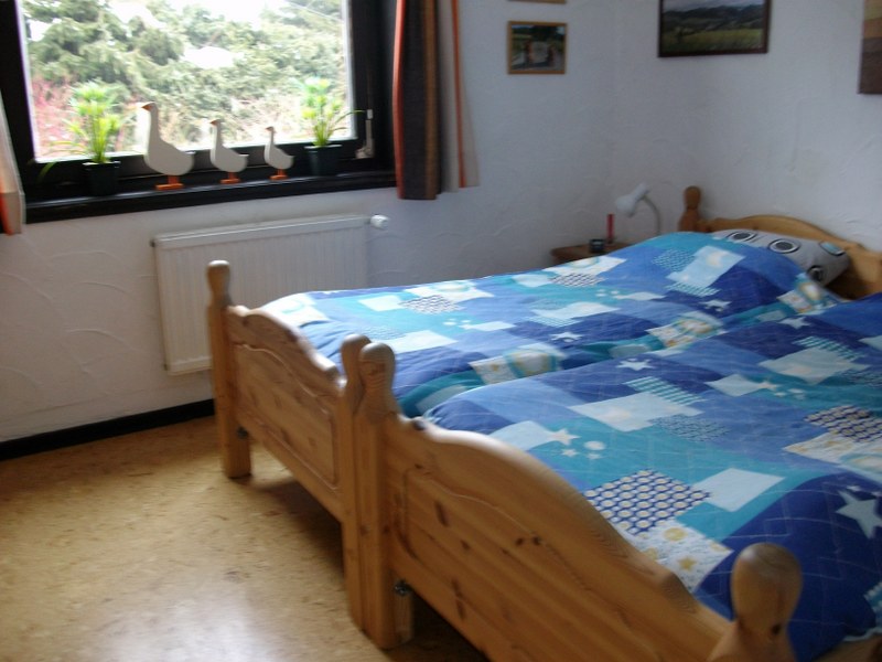 Sfeervol vakantiehuis in bosrijke omgeving van Willingen 6