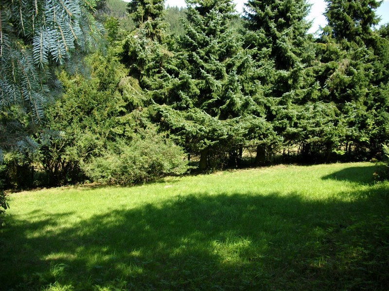 Bosrijk gelegen recreatiewoning in Willingen 7