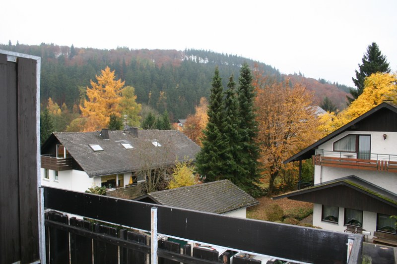 Net 2 kamerappartement in Willingen-Stryck 8