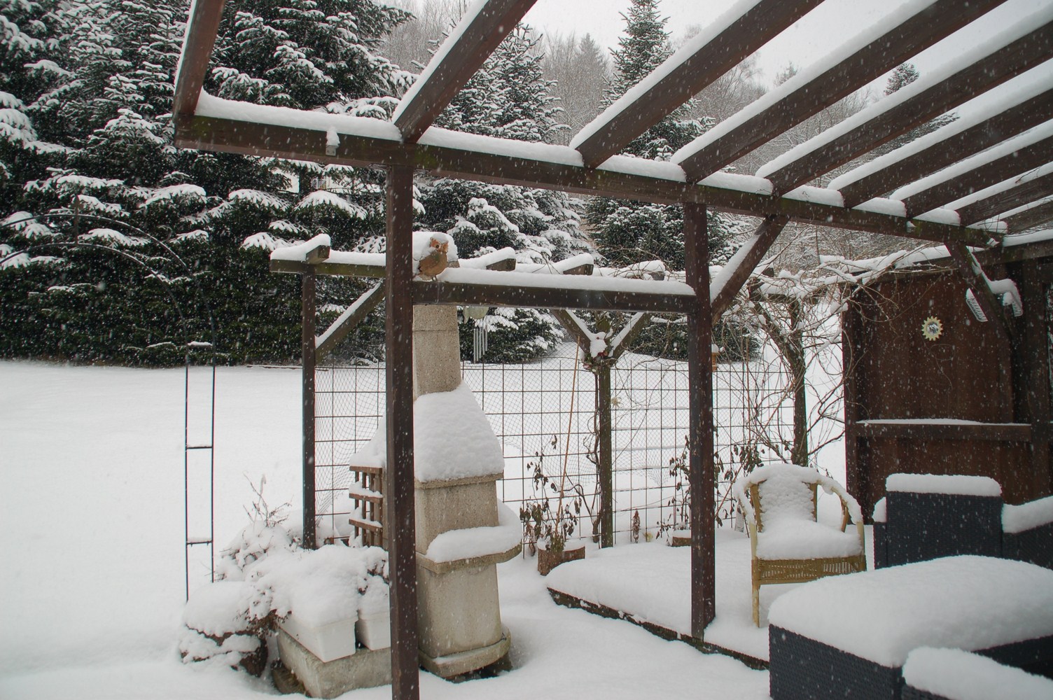 Gezellige vakantiewoning direct aan het bos in Brilon-Wald 11