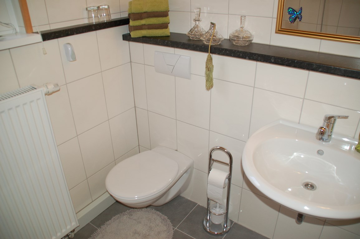 Gerenoveerd vrijstaand huis met terras, tuin en uitzicht in Elpe 13