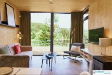 Type B Luxe - Prachtige nieuwbouw vakantiehuizen in Niedersfeld 4